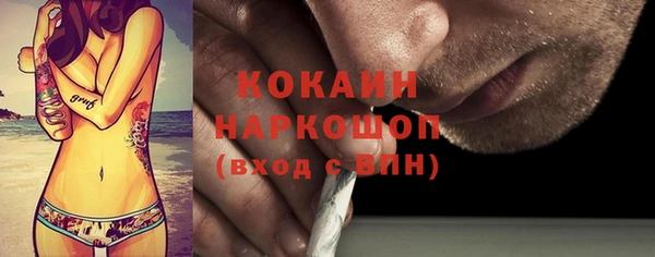 индика Переславль-Залесский