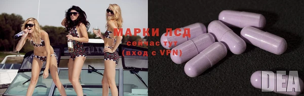 индика Переславль-Залесский