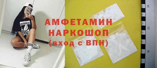 индика Переславль-Залесский