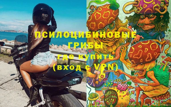 индика Переславль-Залесский