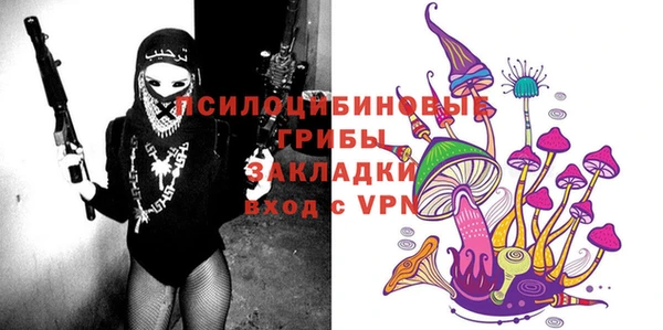 мдпв Пересвет