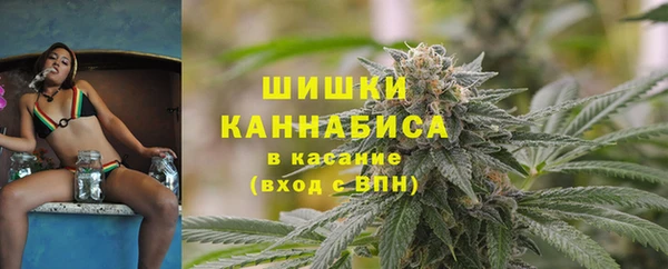 мдпв Пересвет
