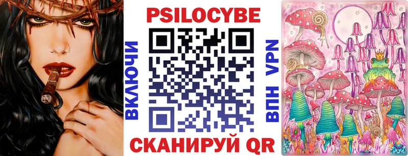 Псилоцибиновые грибы Cubensis Ефремов
