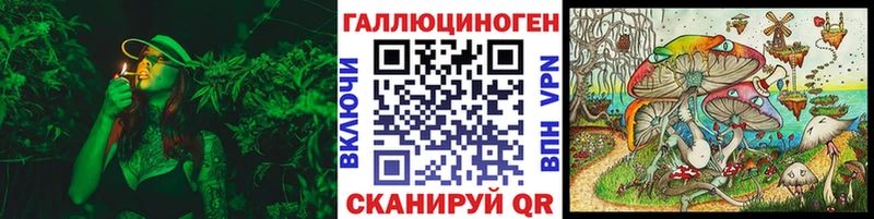 Галлюциногенные грибы Psilocybe  закладки  Ефремов 